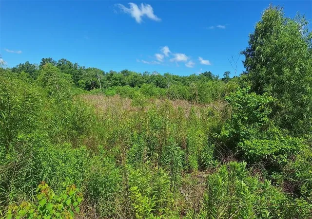 4th image of Stanton Rd, New Orleans, LA 70131 | MLS# 2556345