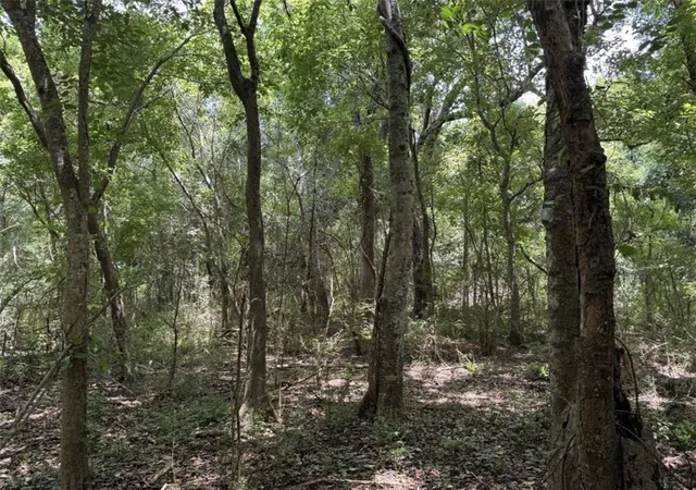 5th image of Stanton Rd, New Orleans, LA 70131 | MLS# 2556345