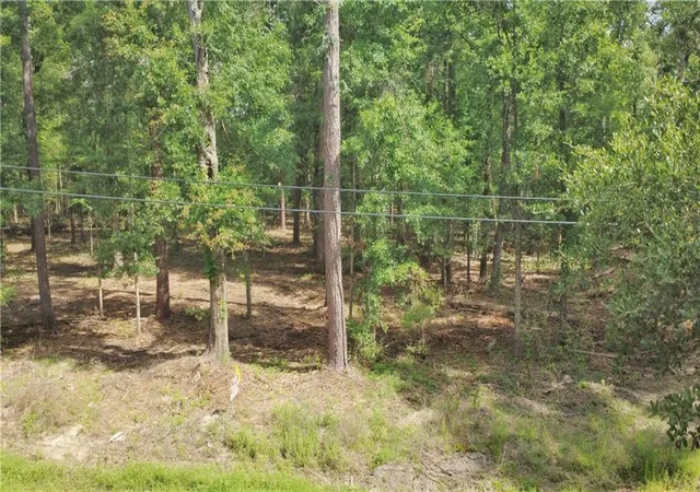 Photo 1 of Land for sale at Strawberry Lot 1a 2 Ln, Hammond, LA 70403 | MLS# 2555893 | Listing updated on 2026-07-30