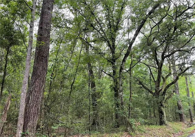 Homes for sale in Folsom, LA | Bruhl Rd, Folsom, LA 70437 | MLS# 2557197