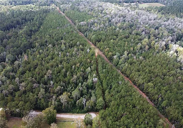 Homes for sale in Folsom, LA | 49 Acres Holliday Rd, Folsom, LA 70437 | MLS# 2557325
