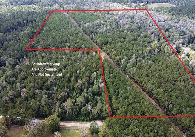 Homes for sale in Folsom, LA | 49 Acres Holliday Rd, Folsom, LA 70437 | MLS# 2557325