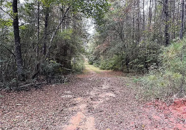 Homes for sale in Folsom, LA | 49 Acres Holliday Rd, Folsom, LA 70437 | MLS# 2557325