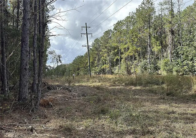 Homes for sale in Folsom, LA | 49 Acres Holliday Rd, Folsom, LA 70437 | MLS# 2557325