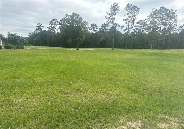 Homes for sale in Springfield, LA | 30684 Blue Wing Cresent, Springfield, LA 70462 | MLS# 2556830