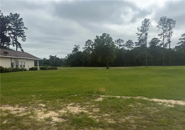Homes for sale in Springfield, LA | 30684 Blue Wing Cresent, Springfield, LA 70462 | MLS# 2556830