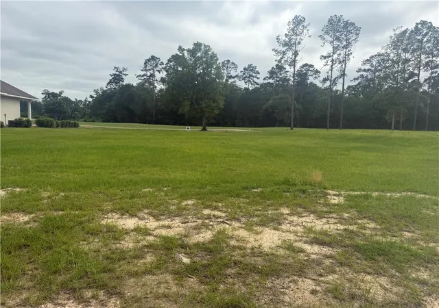 Homes for sale in Springfield, LA | 30684 Blue Wing Cresent, Springfield, LA 70462 | MLS# 2556830