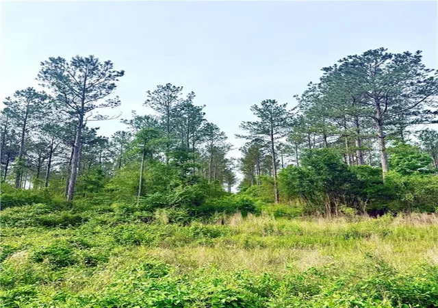 2nd image of Lot1 Tbd Lee Rd, Franklinton, LA 70438 | MLS# 2557596