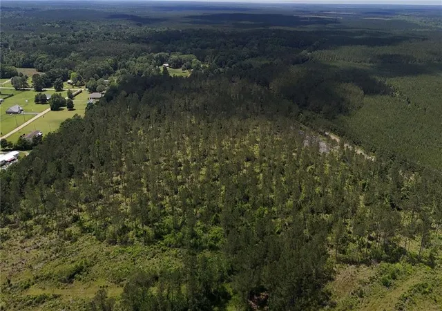 11th image of Lot4 Tbd Lee Rd, Franklinton, LA 70438 | MLS# 2557606