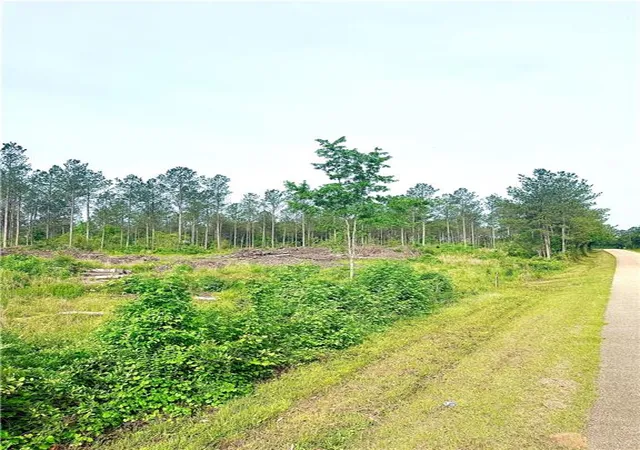 1st image of Lot4 Tbd Lee Rd, Franklinton, LA 70438 | MLS# 2557606