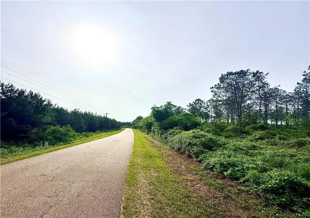 3rd image of Lot4 Tbd Lee Rd, Franklinton, LA 70438 | MLS# 2557606