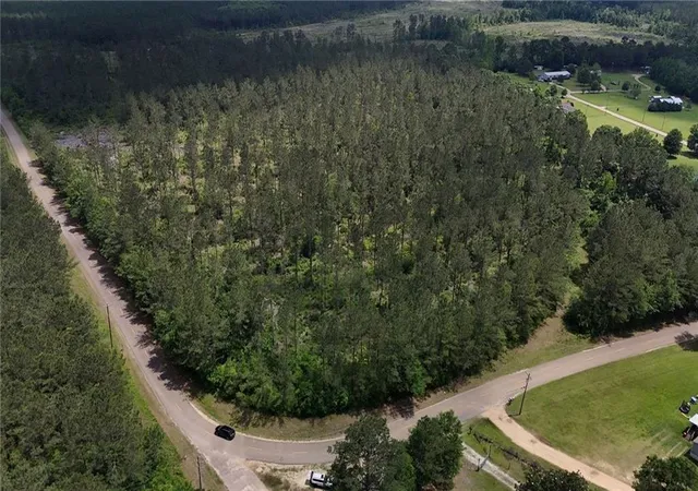 5th image of Lot4 Tbd Lee Rd, Franklinton, LA 70438 | MLS# 2557606