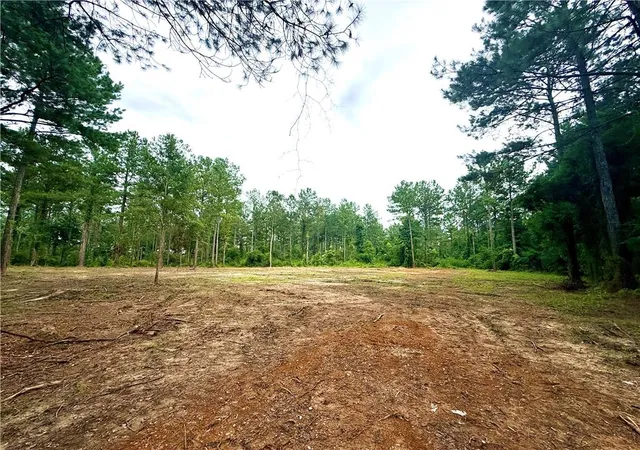 1st image of Lot5 Tbd Lee Rd, Franklinton, LA 70438 | MLS# 2557607