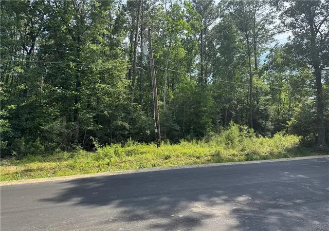 Homes for sale in Springfield, LA | Tract 1 B Lower Rome Rd, Springfield, LA 70462 | MLS# 2558471