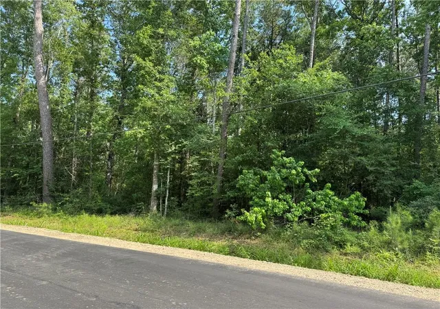 Homes for sale in Springfield, LA | Tract 1 D Lower Rome Rd, Springfield, LA 70462 | MLS# 2558474