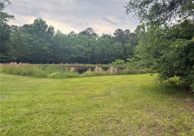 Homes for sale in Amite, LA | Tbd Halbert Rd, Amite, LA 70422 | MLS# 2558651