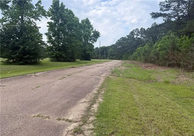 Homes for sale in Amite, LA | Tbd Halbert Rd, Amite, LA 70422 | MLS# 2558651