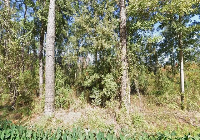 Photo 1 of Land for sale at 0 Melody Ln, Slidell, LA 70460 | MLS# 2559080 | Listing updated on 2026-06-09