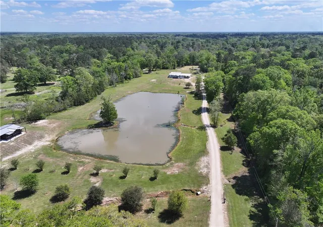 Homes for sale in Greenwell Springs, LA | 26870 Greenwell Springs Rd, Greenwell Springs, LA 70739 | MLS# 2559135