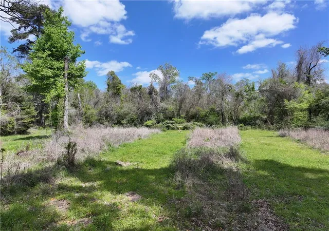 Homes for sale in Greenwell Springs, LA | 26870 Greenwell Springs Rd, Greenwell Springs, LA 70739 | MLS# 2559135
