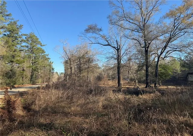 Homes for sale in Holden, LA | 25230 Firetower Rd, Holden, LA 70744 | MLS# 2559448
