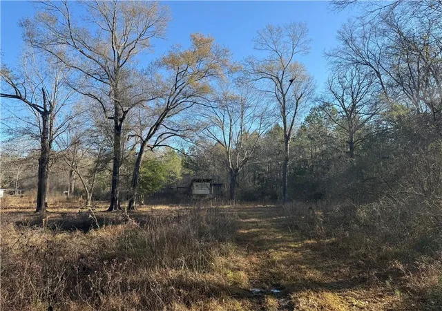 Homes for sale in Holden, LA | 25230 Firetower Rd, Holden, LA 70744 | MLS# 2559448