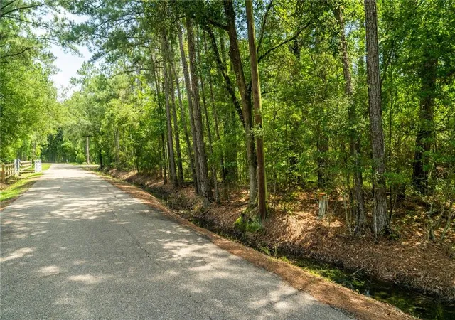 1st image of 000 Chills Blue Springs Rd, Hammond, LA 70401 | MLS# 2559481