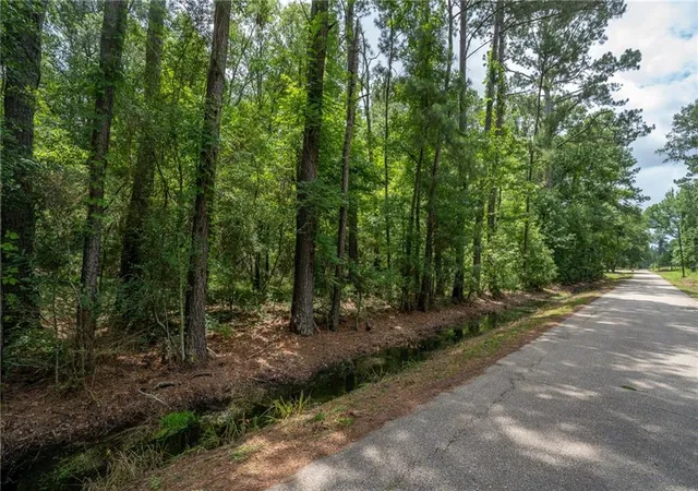 2nd image of 000 Chills Blue Springs Rd, Hammond, LA 70401 | MLS# 2559481