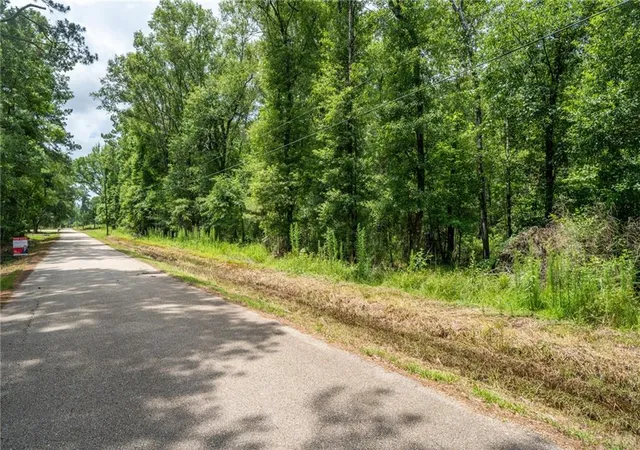 3rd image of 000 Chills Blue Springs Rd, Hammond, LA 70401 | MLS# 2559481