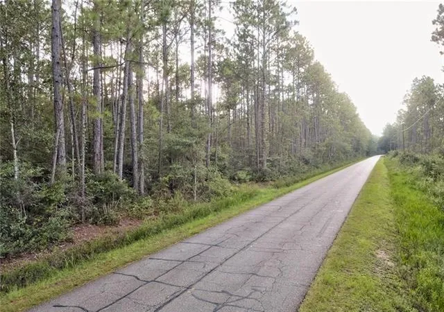 Homes for sale in Pearl River, LA | 0000 Chris Kennedy (parcel E 4) Rd, Pearl River, LA 70452 | MLS# 2559581