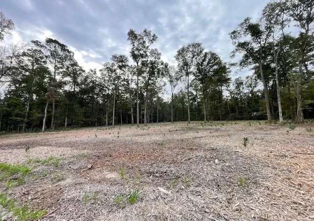 Homes for sale in Ponchatoula, LA | 39092 Keaghey Rd, Ponchatoula, LA 70454 | MLS# 2559466