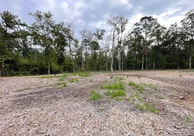 Photo 2 of Land for sale at 39092 Keaghey Rd, Ponchatoula, LA 70454 | MLS# 2559466 | Listing updated on 2026-07-16