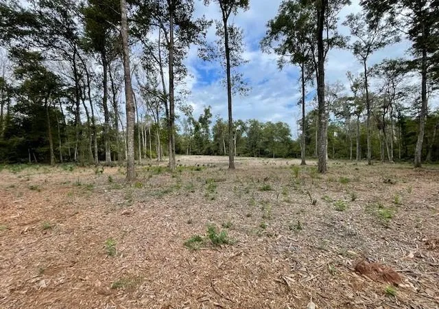 Photo 3 of Land for sale at 39092 Keaghey Rd, Ponchatoula, LA 70454 | MLS# 2559466 | Listing updated on 2026-07-16