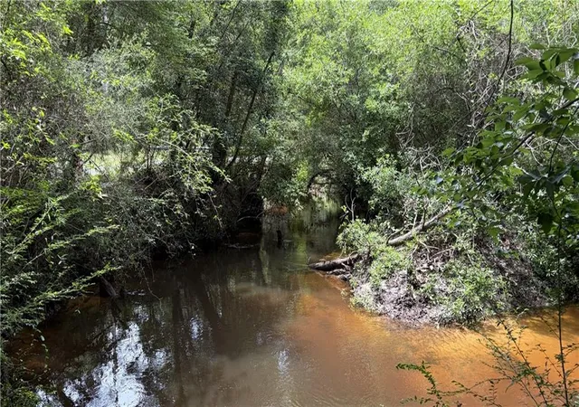 1st image of 000 Thigpen Rd, Franklinton, LA 70438 | MLS# 2560854