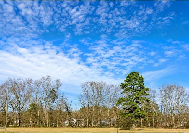 1st image of 44068 Mary Singletary Rd, Saint Amant, LA 70774 | MLS# 2560818