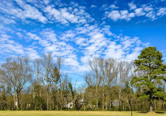 2nd image of 44068 Mary Singletary Rd, Saint Amant, LA 70774 | MLS# 2560818