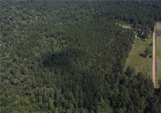 Photo 2 of Land for sale at 71 Acres Pierre Cemetery Rd, Folsom, LA 70437 | MLS# 2561409 | Listing updated on 2026-07-07