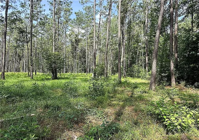 Photo 4 of Land for sale at 71 Acres Pierre Cemetery Rd, Folsom, LA 70437 | MLS# 2561409 | Listing updated on 2026-07-07