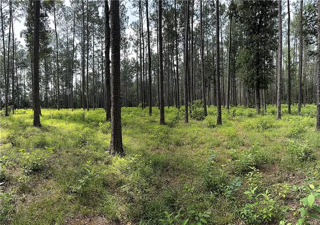 Photo 6 of Land for sale at 71 Acres Pierre Cemetery Rd, Folsom, LA 70437 | MLS# 2561409 | Listing updated on 2026-07-07