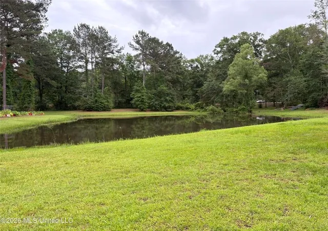 Homes for sale in Jayess, MS | 367 44 Hwy, Jayess, MS 39641 | MLS# 2562138