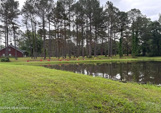 Homes for sale in Jayess, MS | 367 44 Hwy, Jayess, MS 39641 | MLS# 2562138