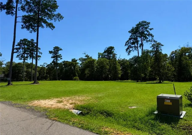 Photo 3 of Land for sale at 50257 Spirit Of The Forest Ln, Folsom, LA 70437 | MLS# 2562288 | Listing updated on 2026-06-11