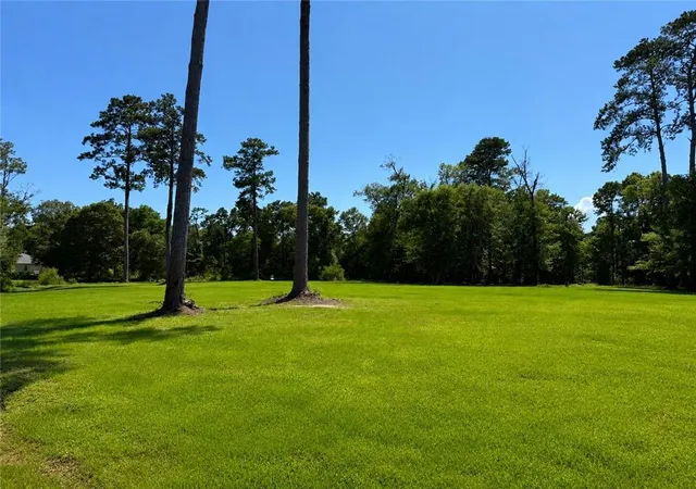 Homes for sale in Folsom, LA | 50257 Spirit Of The Forest Ln, Folsom, LA 70437 | MLS# 2562288