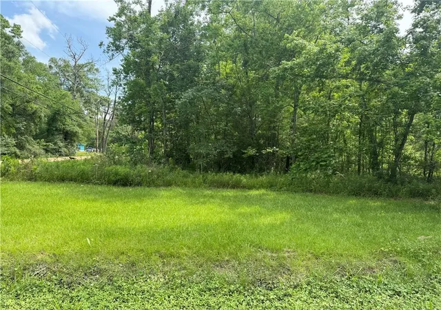 Homes for sale in Roseland, LA | 12558 N Central Ave, Roseland, LA 70456 | MLS# 2562481