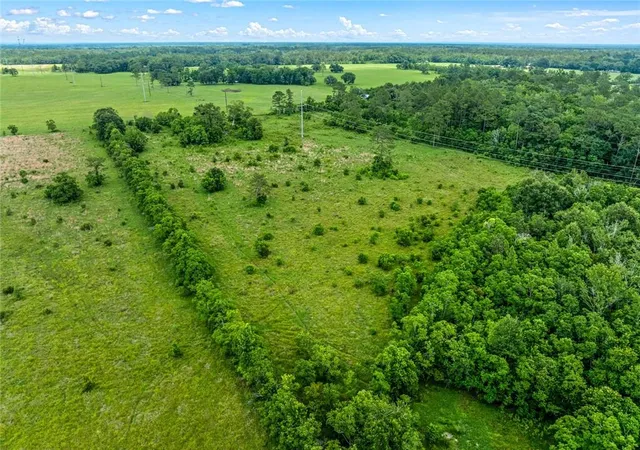 Photo 4 of Land for sale at 0 Edith Rd, Bush, LA 70431 | MLS# 2562568 | Listing updated on 2026-06-11