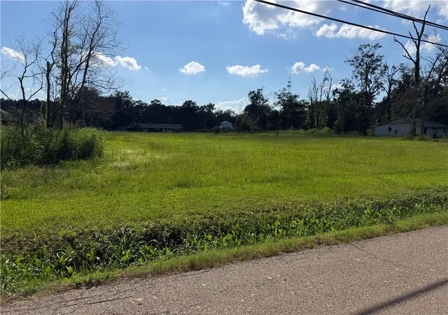 Homes for sale in Ponchatoula, LA | 41523 And 41525 Yokum Rd, Ponchatoula, LA 70454 | MLS# 2562478