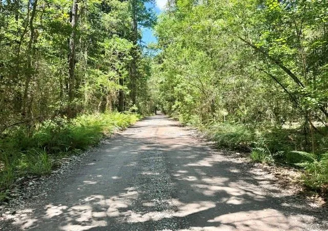 3rd image of Tbd Holly Ln, Covington, LA 70435 | MLS# 2562675