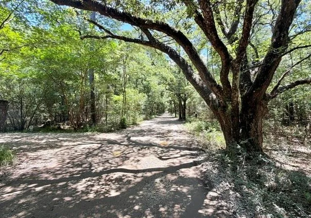 4th image of Tbd Holly Ln, Covington, LA 70435 | MLS# 2562675
