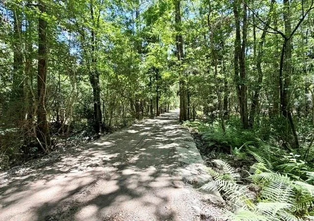 5th image of Tbd Holly Ln, Covington, LA 70435 | MLS# 2562675