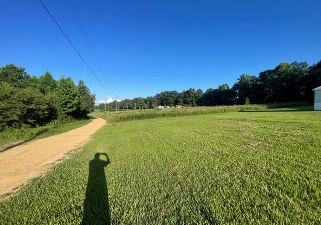 Homes for sale in Mount Hermon, LA | 38828 Turkey Ridge Rd, Mount Hermon, LA 70450 | MLS# 2562755